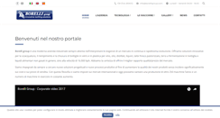 Desktop Screenshot of borelligroup.it